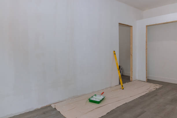 Reliable Colton, CA Mold Removal Solutions