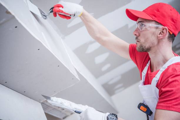 Mold Remediation for Vacation Homes in Colton, CA